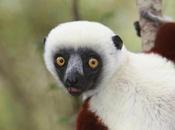 Behind Biodiversity Targets, Govts Pledge Increase Funding Conservation