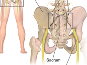 Study Shows Chiropractic Best Option Joint Pain