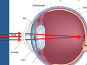 Science “looking” Ball