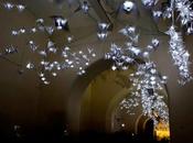 Paper Arts Installation