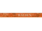Walden...November Studio Calico