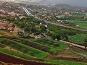 From Tenerife Canary Islands