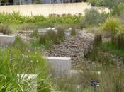 Cranbourne Botanic Garden