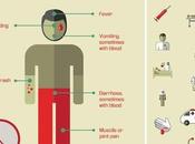 Effective Ways Prepare Ebola
