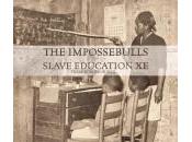 Impossebulls Slave Education