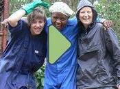 Great Barrier Reef Australia, Turtle Rehabilitation Program Oceans2earth.Org