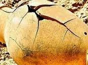 Elections: Report from Ground (and Time Throw Towel Blogger)