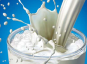 Controversy, Calcium Cow’s Milk