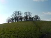 Kelston Round Walk