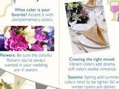 Choosing Your Wedding Colors Ultimate Guide