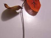 Discernment: Faked Fake Leaves