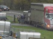 Bang, Bang Your .....Flat!!