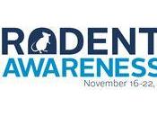 Rodent Awareness Week November 16-22, 2014