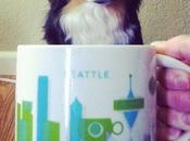 Images Dogs Cups