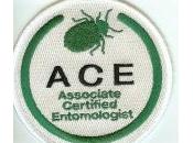 Patches Designs A.C.E. Programs