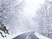 Your Drivers Ready Winter Roads?