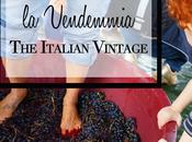 Vendemmia” Italian Vintage
