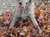 Black White Sunday: Maggie