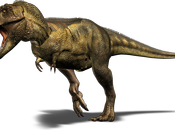 Tennis [elbow] Anyone?