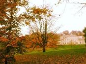 Hampstead Heath, Saturday Afternoon. Good Walk Coat.