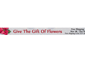 Give Gift Flowers This Holiday Season