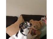 Ralph's Blogged Band Chart 29.11.14