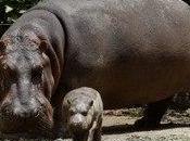 Report Shows Colombian Biodiversity Endangered Humans