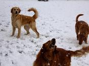 First Snowfall Season