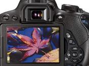 Capture Holiday Season with Canon Best