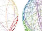 Psilocybin Changes Brain Connectivity.
