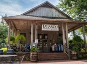Touring Tabasco Avery Island’s Jungle Gardens