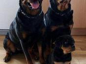 Family Portraits Melt Your Heart