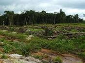 Biodiversity Good Your Health