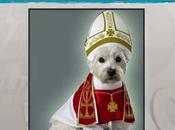 Rachel Maddow, "This Aspirational Dog"