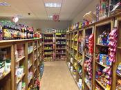 Wolverhampton: Next Chapter!