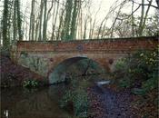 Rolling Stone Gathers Moss"