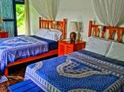 Blue More Than Just Yoga Retreat