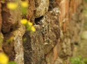 トンバイ壁のある裏通り，有田 Tonbai Walls Everywhere Arita