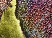 Review–In Afterlight (The Darkest Minds Alexandra Bracken