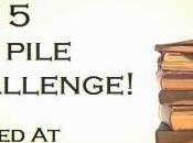 Official 2015 Pile Challenge