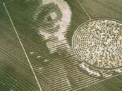 Crop Circle from