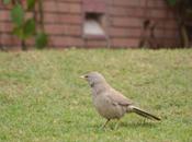 January 2012 (365 Photo Challenge)