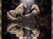 Together Shall Strong......