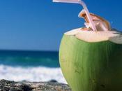 Clearing Confusion About Coconut Products…