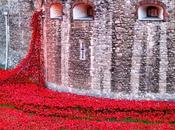 2014 Blog Posts: October Poppies Tower Words Pictures