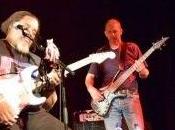 ZAPPATiKA Willis: "Live Liverpool"