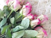 Sunday Bouquet: Neon Pink Tinged Roses Flokati