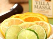 Winter Citrus Mojito