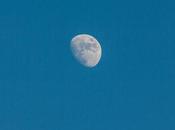 Variations Moon Shot