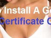 Install GoDaddy Certificate Online